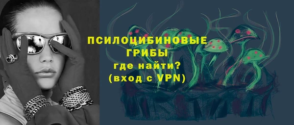 герыч Вяземский