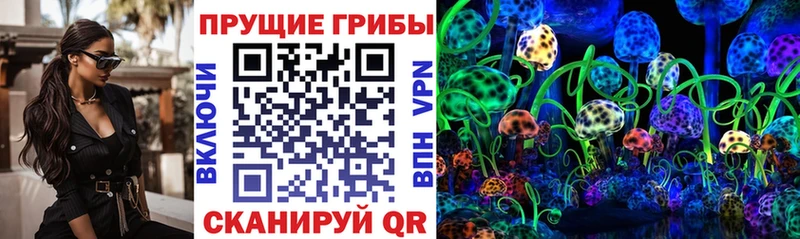 Псилоцибиновые грибы прущие грибы  Орехово-Зуево 